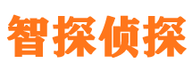 正定外遇出轨调查取证